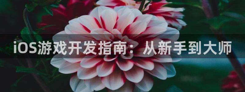 沐鸣2平台测速登录