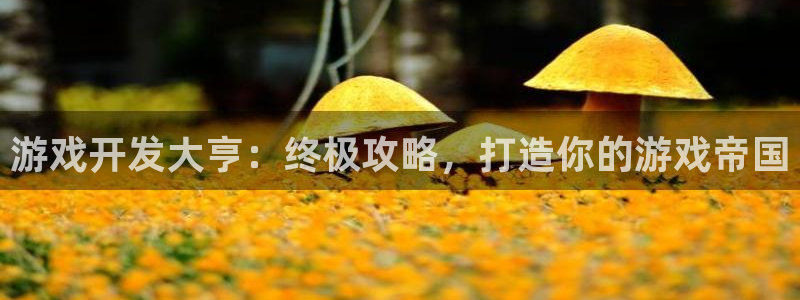 沐鸣2平台官网