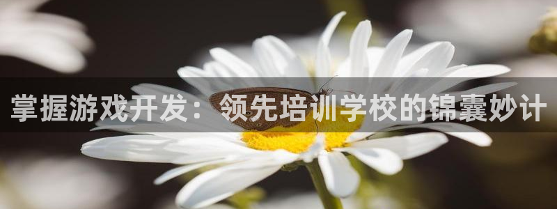 沐鸣2登录网址