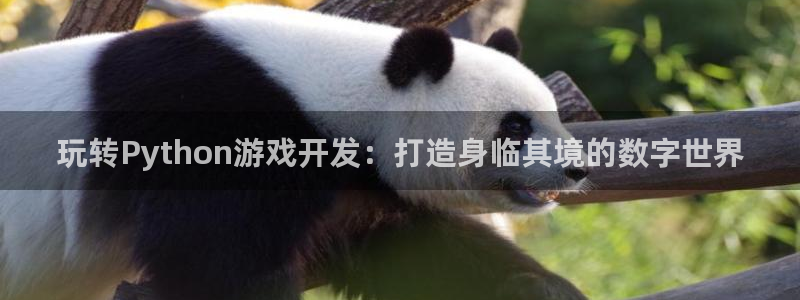 沐鸣娱乐2手机下载官网
