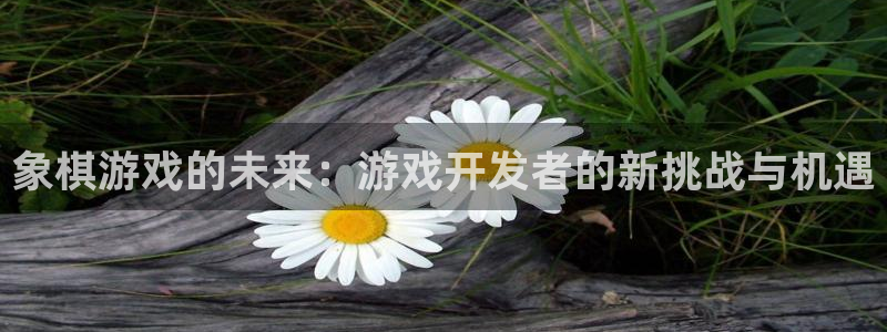 沐鸣2测速登陆：象棋游戏的未来：游戏开发者的新挑战与机遇