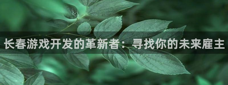 沐鸣娱乐臼44262：长春游戏开发的革新者：寻找你的未来雇主