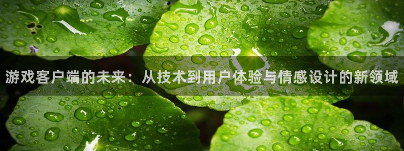 沐鸣2注册登录地址：游戏客户端的未来：从技术到用户体验与情感设计的新领域