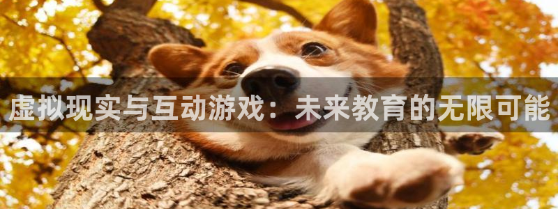 沐鸣2注册连接：虚拟现实与互动游戏：未来教育的无限可能