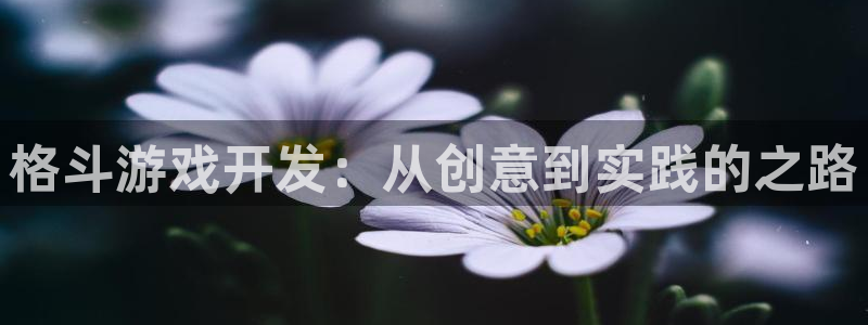 沐鸣娱乐臼44262：格斗游戏开发：从创意到实践的之路