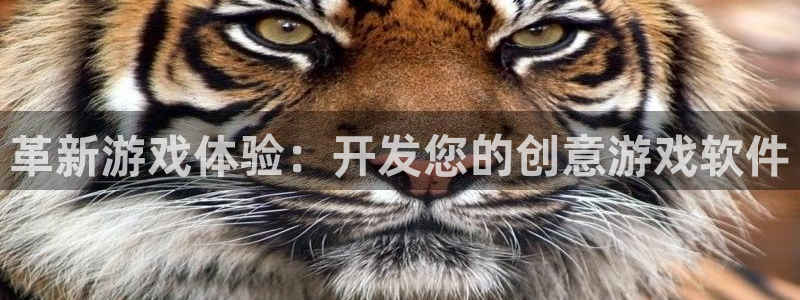 沐鸣2娱乐登录测速：革新游戏体验：开发您的创意游戏软件
