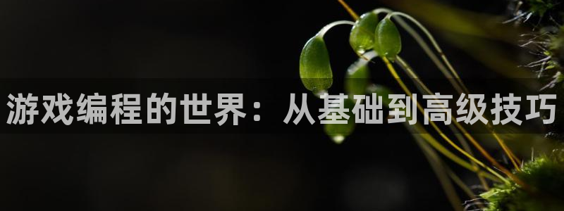 沐鸣娱乐2登入：游戏编程的世界：从基础到高级技巧