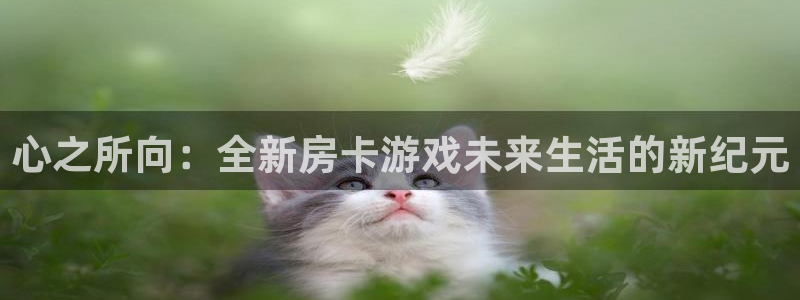 沐鸣娱乐2是干嘛的：心之所向：全新房卡游戏未来生活的新纪元