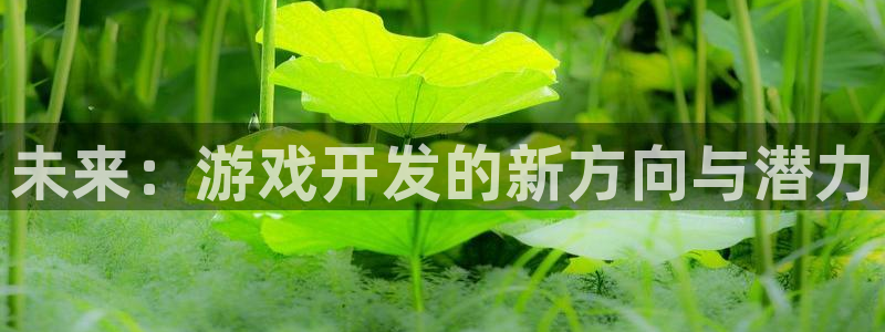 沐鸣娱乐2游戏说明：未来：游戏开发的新方向与潜力