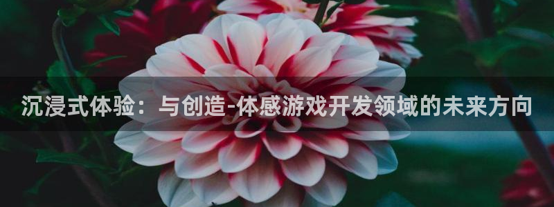 沐鸣2账号注册：沉浸式体验：与创造-体感游戏开发领域的未来方向