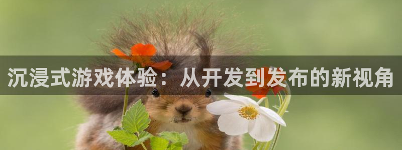 沐鸣2娱乐平台登录客服：沉浸式游戏体验：从开发到发布的新视角