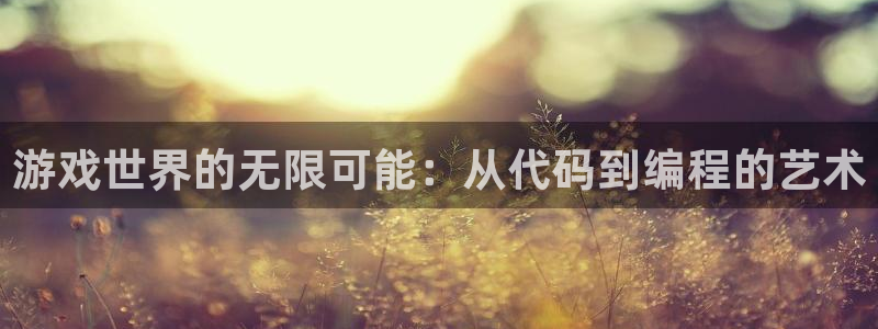 沐鸣2平台开户：游戏世界的无限可能：从代码到编程的艺术