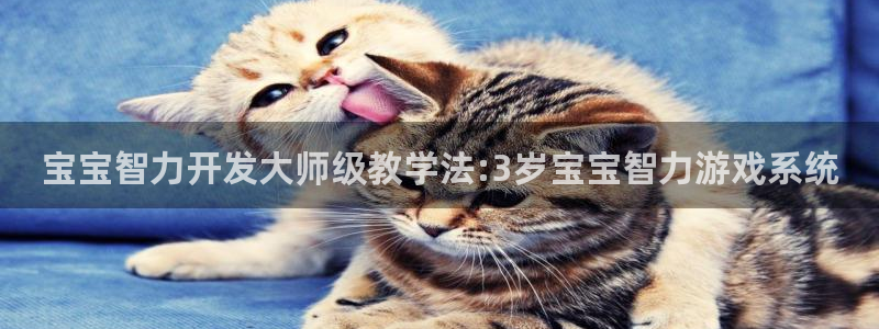 沐鸣娱乐2登录平台是什么软件：宝宝智力开发大师级教学法:3岁宝宝智力游戏系统