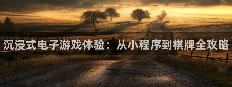 沐鸣2官方：沉浸式电子游戏体验：从小程序到棋牌全攻略