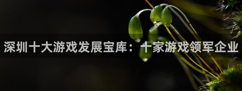 沐鸣娱乐2官网网址是多少
