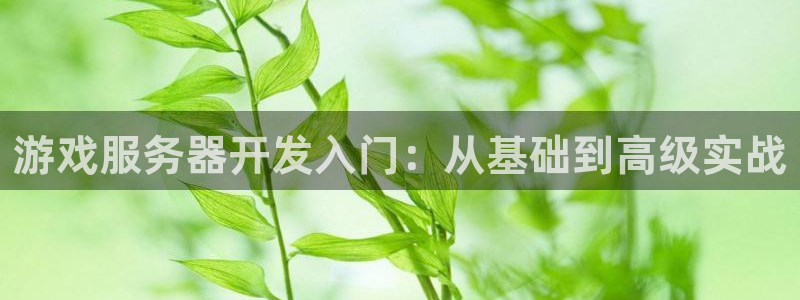 沐鸣2输钱能要回来吗：游戏服务器开发入门：从基础到高级实战