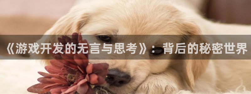 沐鸣2产7O777：《游戏开发的无言与思考》：背后的秘密世界