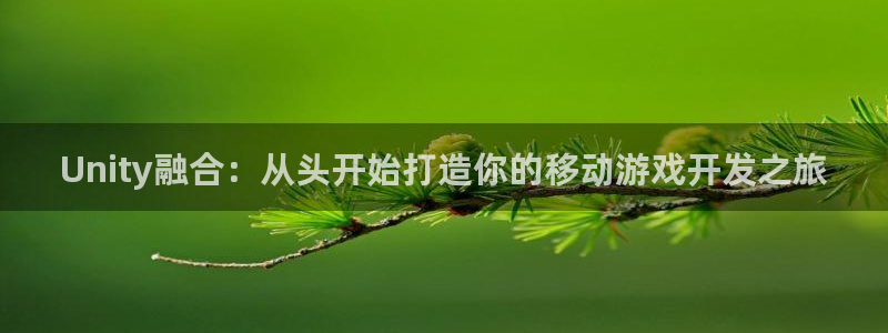 沐鸣娱乐2代理：Unity融合：从头开始打造你的移动游戏开发之旅