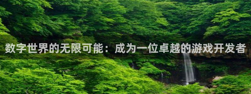 沐鸣2平台代理注册：数字世界的无限可能：成为一位卓越的游戏开发者